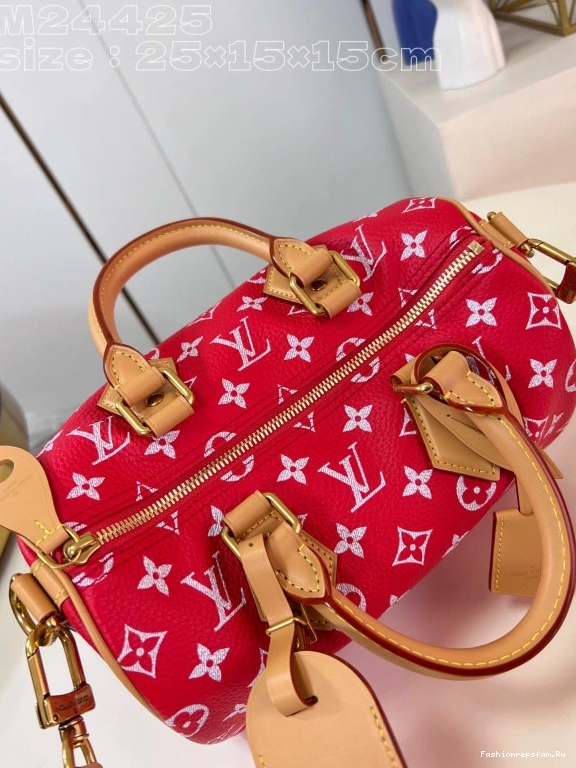 FS CHEAP 25 SPEEDY Louis Vuitton 0724